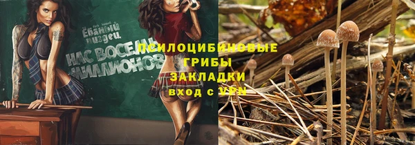 сатива Алзамай
