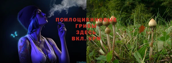 соль курить ск Алексин